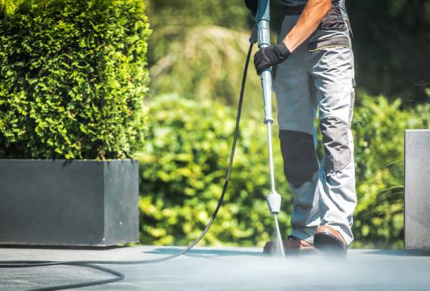 Best Rust Removal  in Waterville, NY