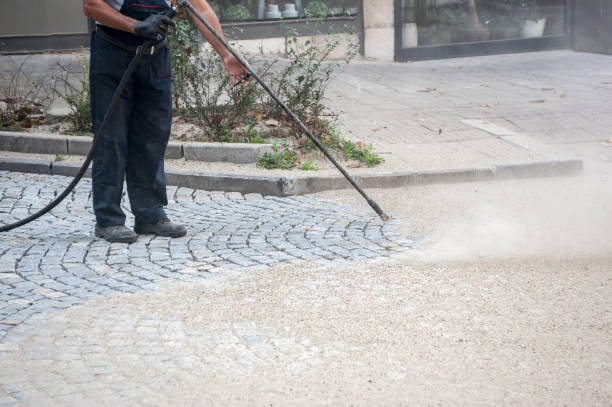 Best House Exterior Washing  in Waterville, NY