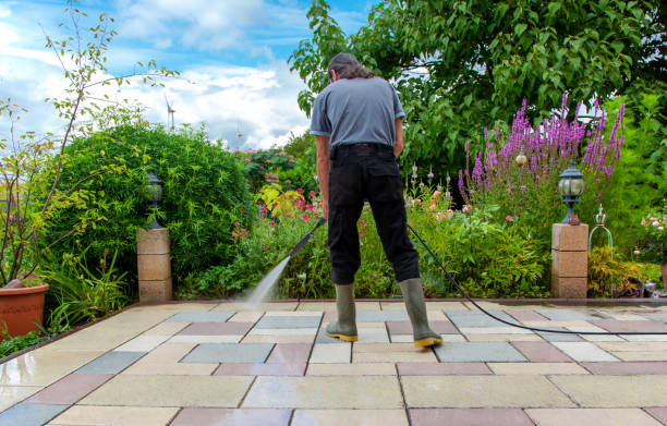 Best Spring Cleaning  in Waterville, NY