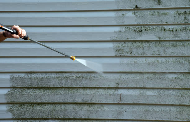 Best Solar Panel Cleaning  in Waterville, NY